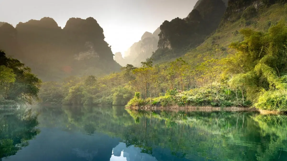绿色先进高效